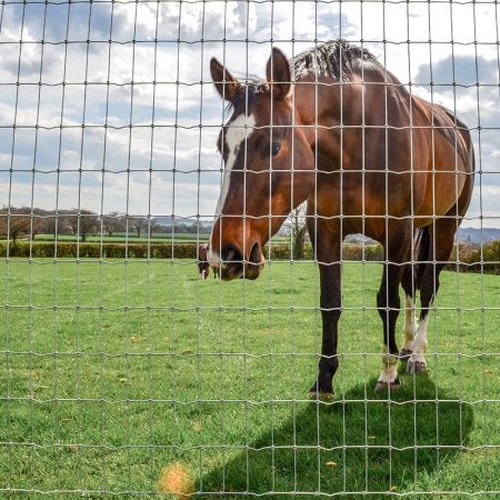 Horse_fencing_gallery_1